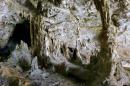 Cave Formations: Cave Formations in Niue